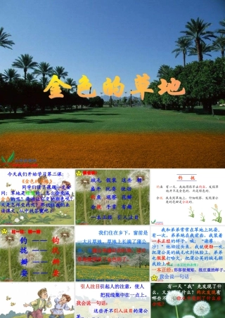 《金色的草地》 (3)