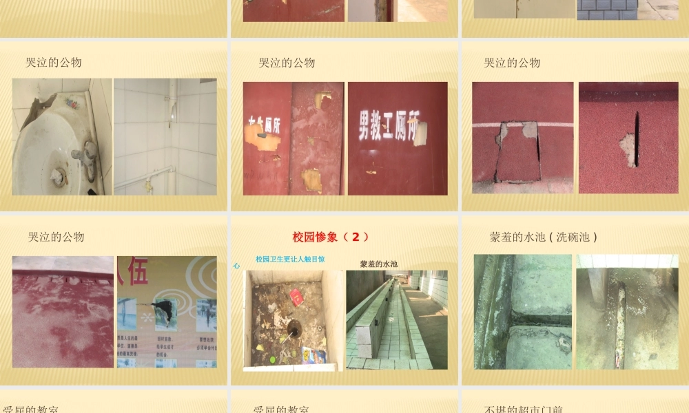 “爱我校园”主题班会活动