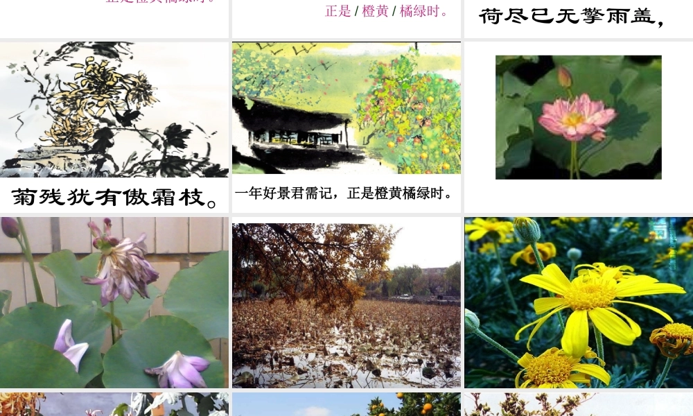 赠刘景文_山行_古诗两首