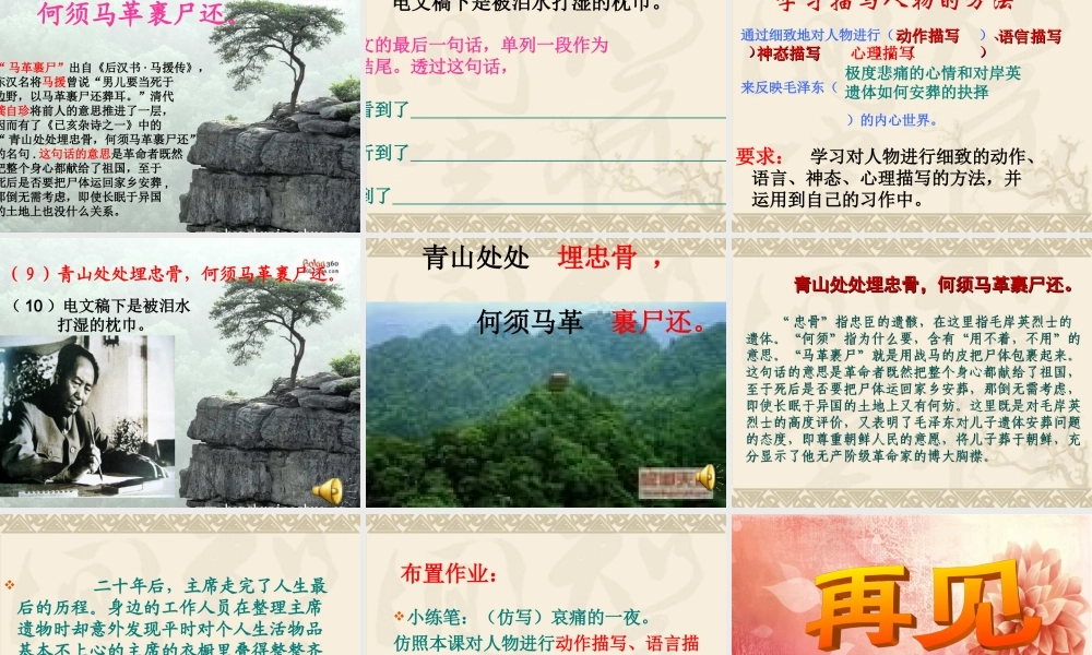 《青山处处埋忠骨》-
