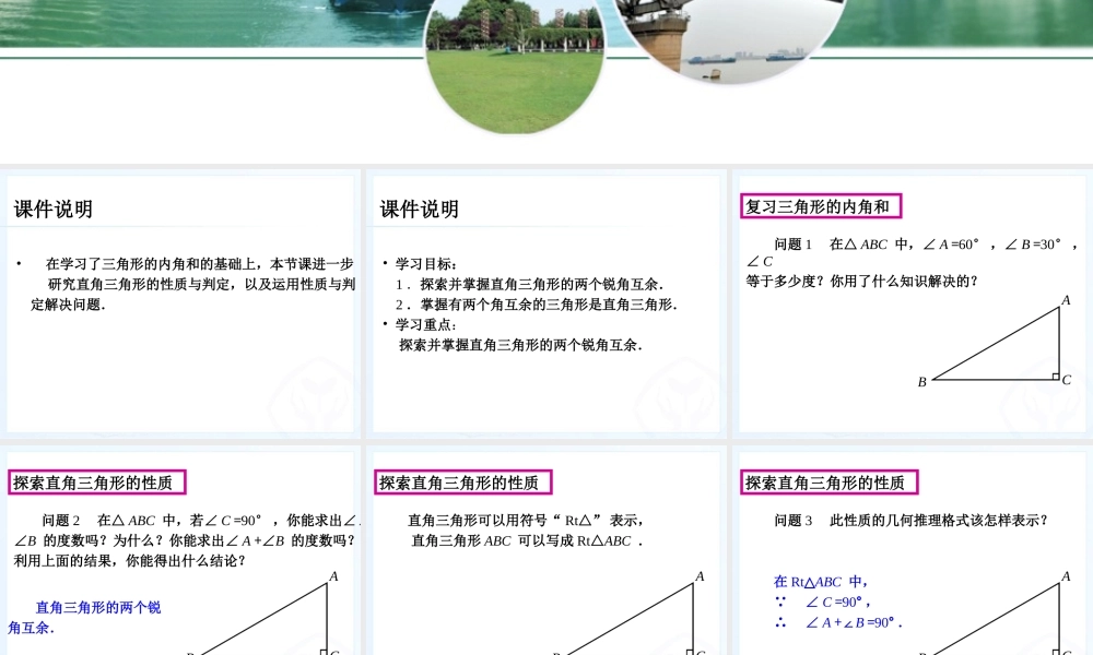 直角三角形的性质与判定