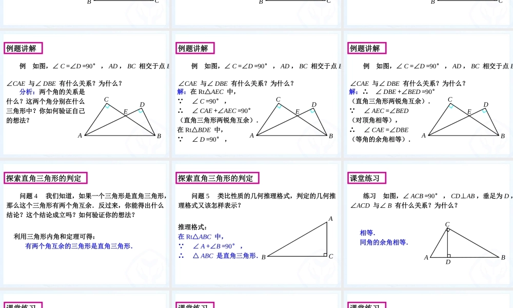 直角三角形的性质与判定