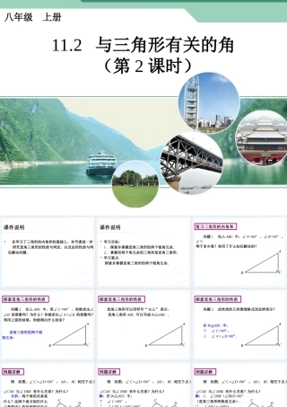 直角三角形的性质与判定