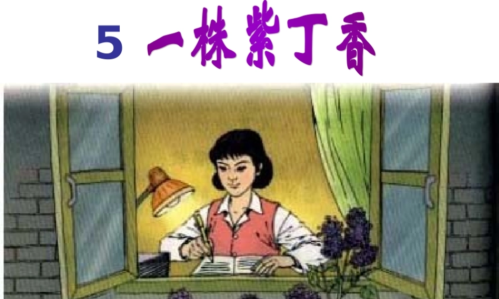 一株紫丁香完整课件