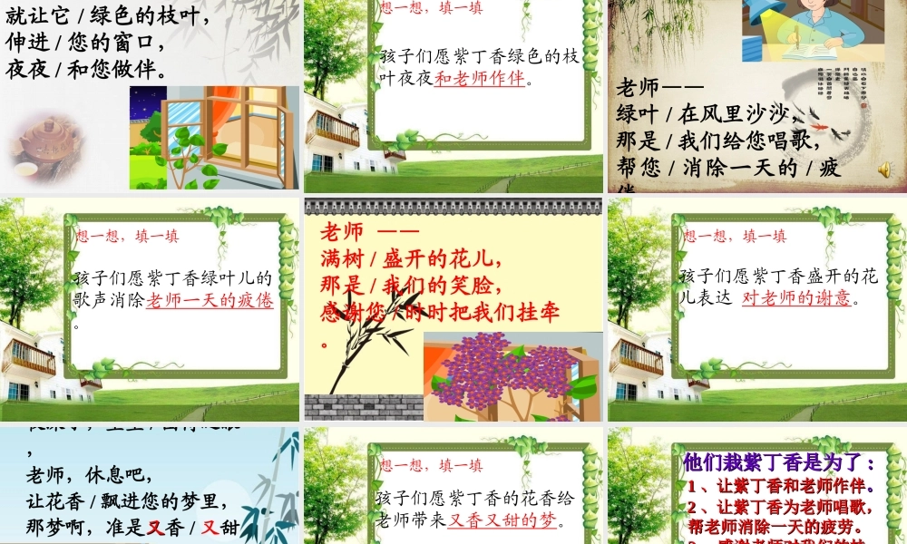 一株紫丁香完整课件