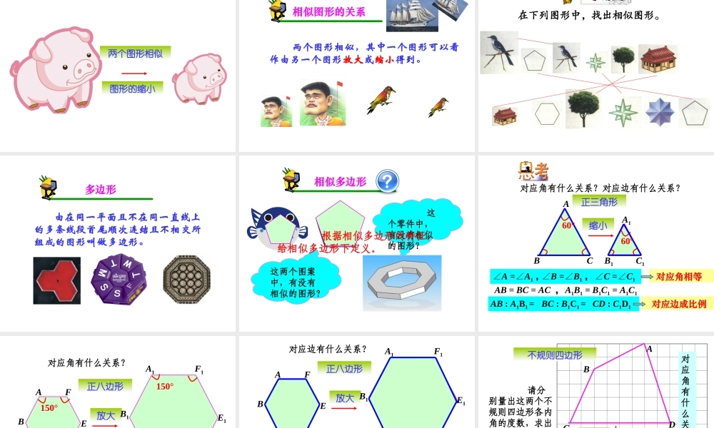 新人教版九年级下数学27-1《图形的相似》课件