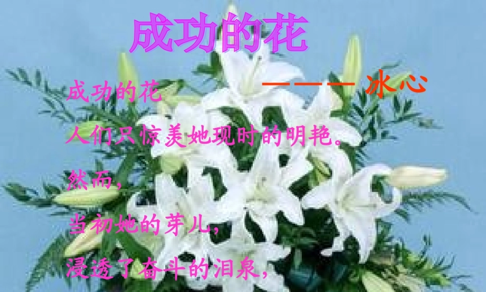 心田上的百合花开稿