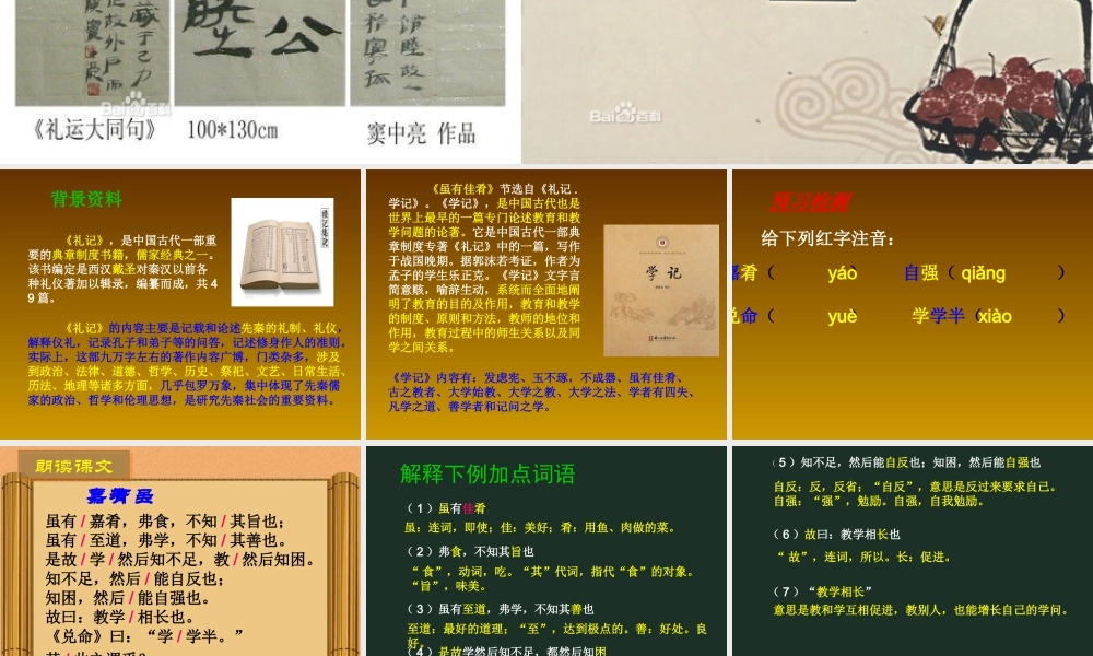 《虽有嘉肴》课件4