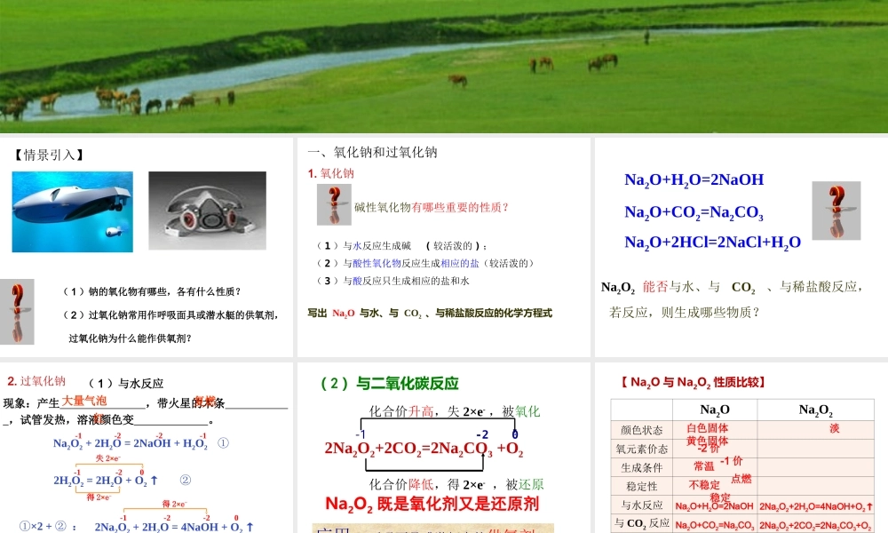 三21钠的重要化合物