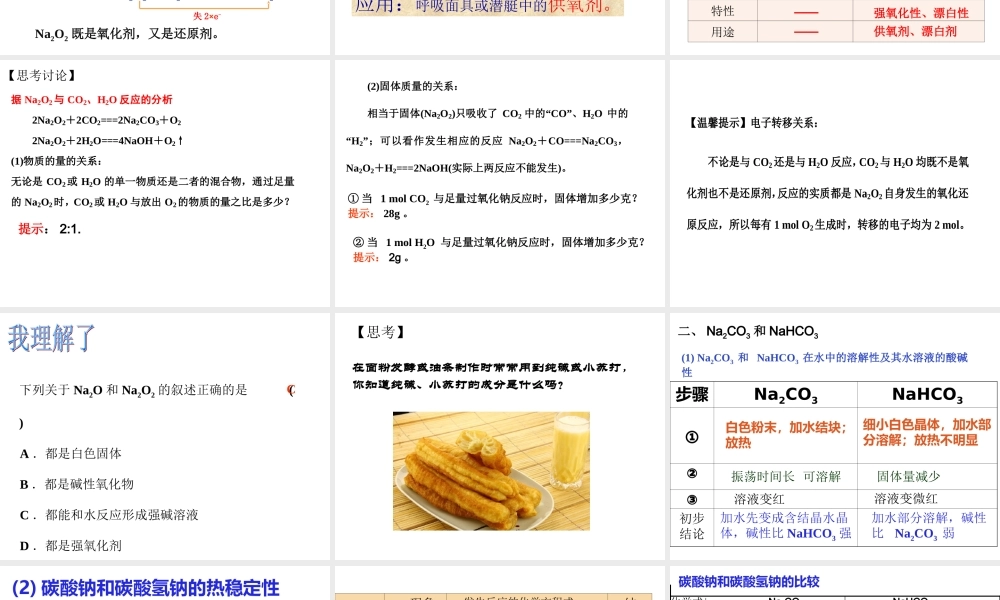 三21钠的重要化合物