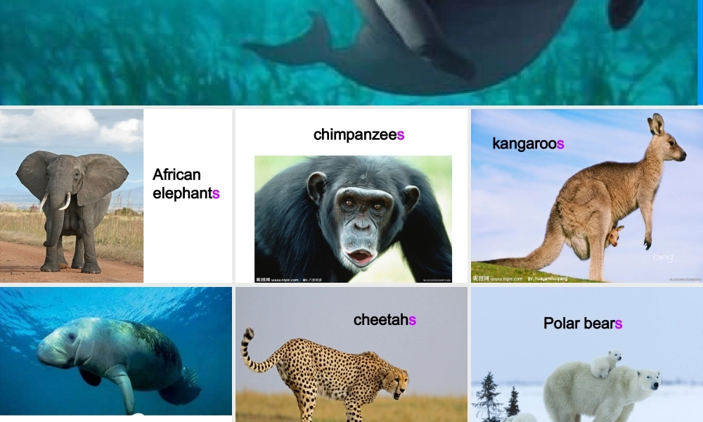 新目标九年级英语unit15sectionA_3a-4