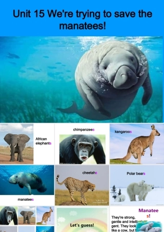 新目标九年级英语unit15sectionA_3a-4