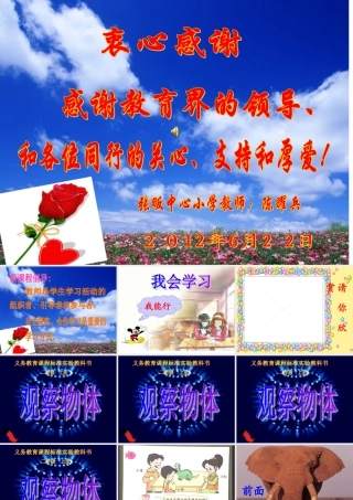 二年级数学上册观察物体