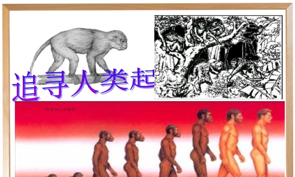 课件类：人教版语文第六单元《综合性学习追寻人类的起源》