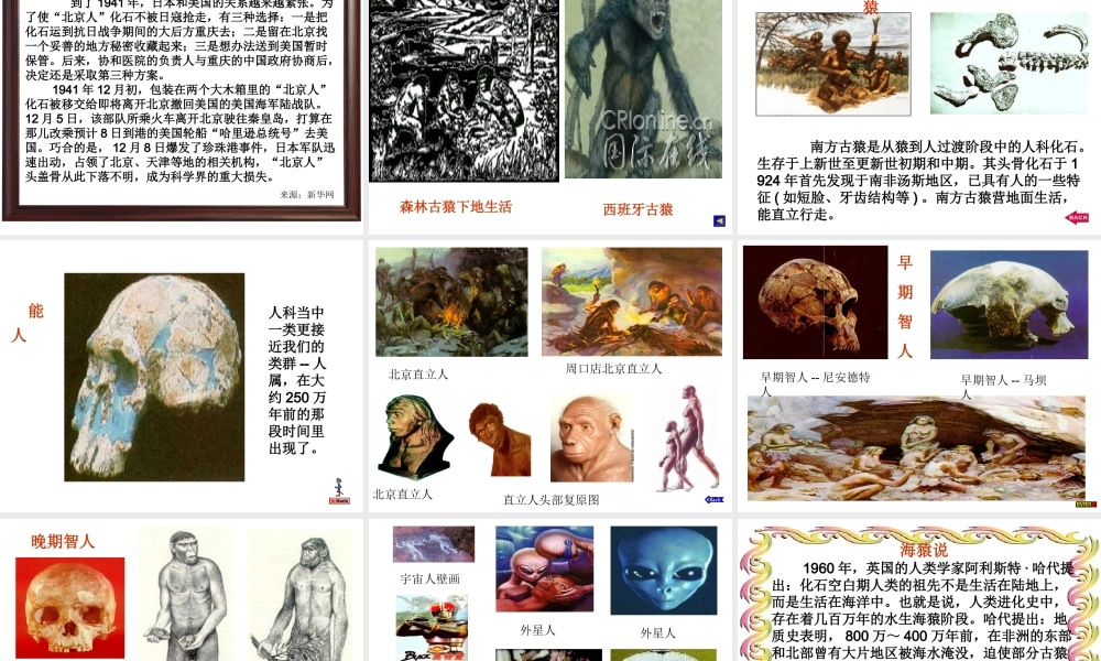 课件类：人教版语文第六单元《综合性学习追寻人类的起源》