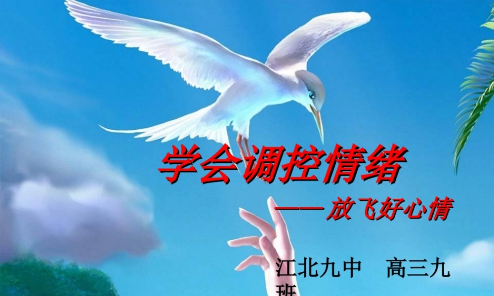 调控情绪讲课课件