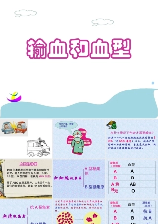 八年级生物输血与血型课件鲁科版