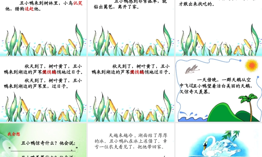 丑小鸭（叶慕兰)