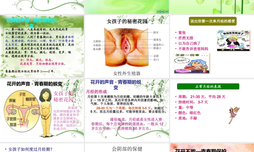 黄练青春期女生健康讲座