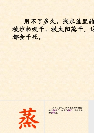 浅水洼的小鱼2