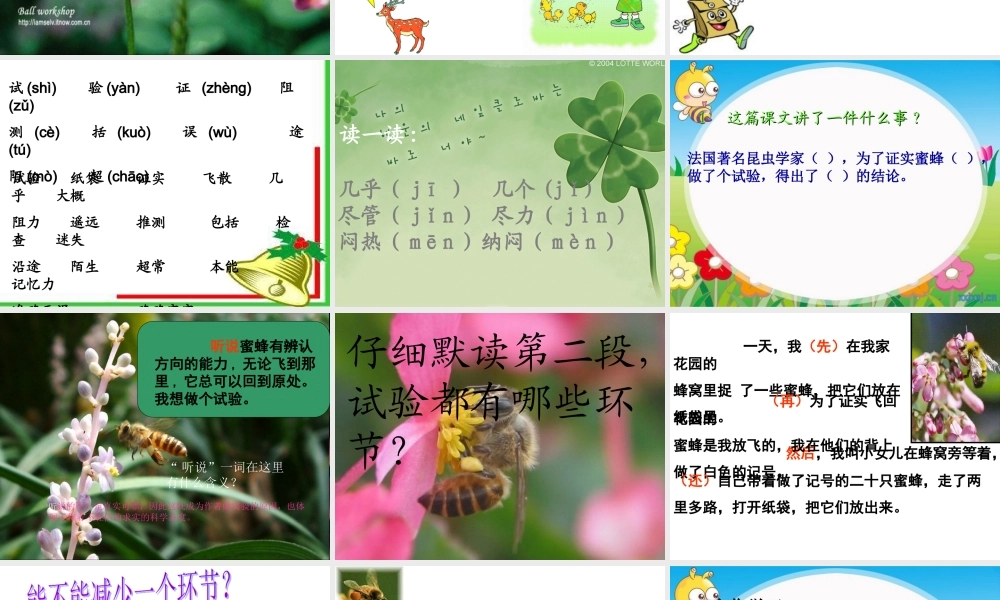 《蜜蜂》课件 (2)
