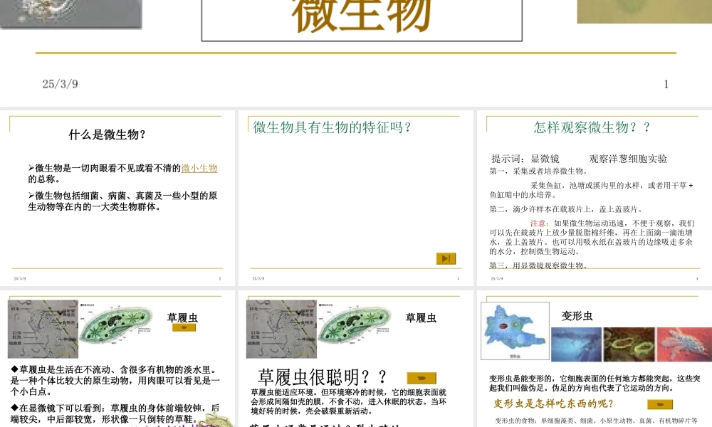 用显微镜观察身边的生命世界(三)