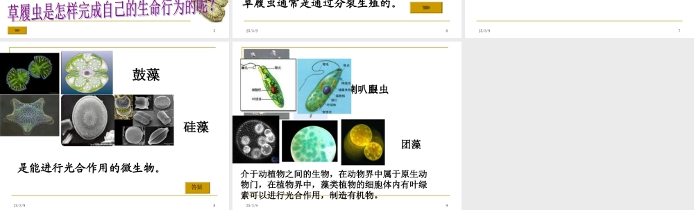 用显微镜观察身边的生命世界(三)