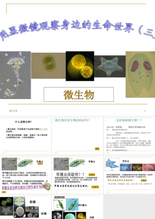 用显微镜观察身边的生命世界(三)
