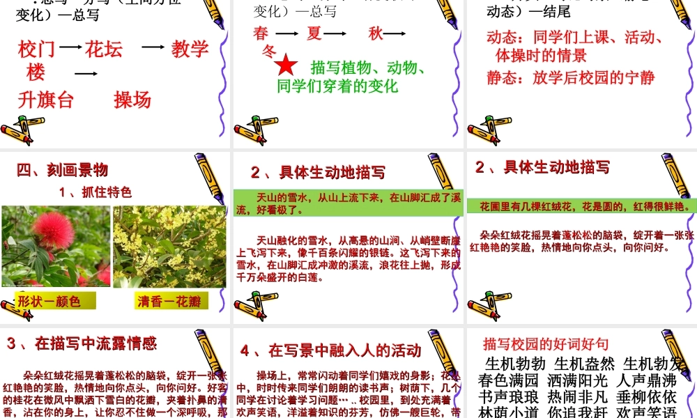 四年级语文下册语文园地一习作(免费完美版)