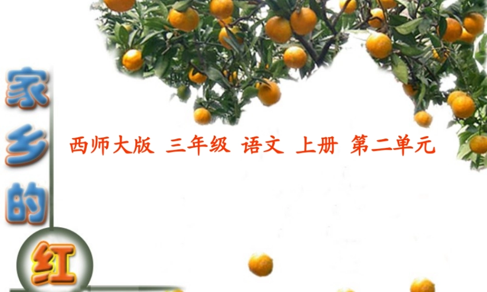 （西师大版）三年级语文上册课件家乡的红橘