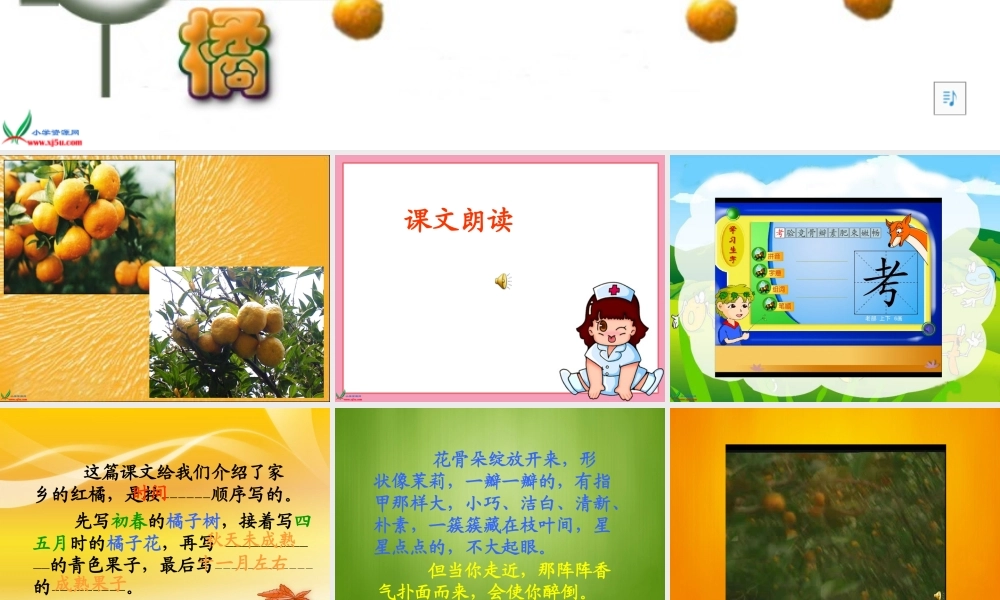 （西师大版）三年级语文上册课件家乡的红橘