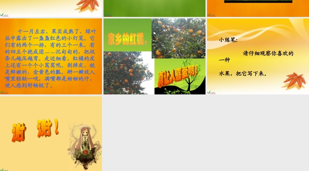 （西师大版）三年级语文上册课件家乡的红橘