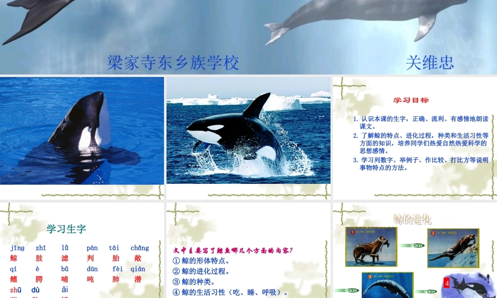 人教版小学语文第九册《鲸》课件