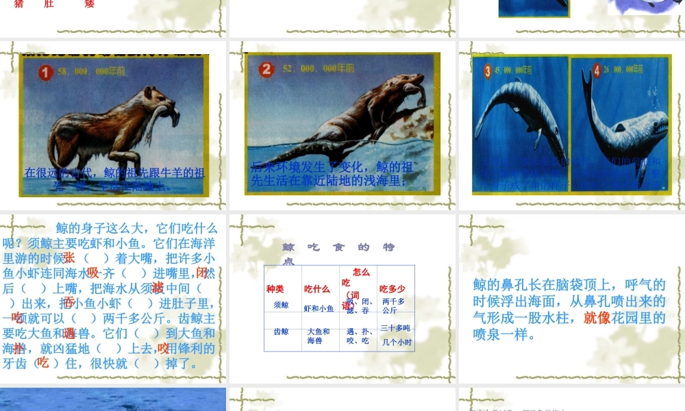 人教版小学语文第九册《鲸》课件