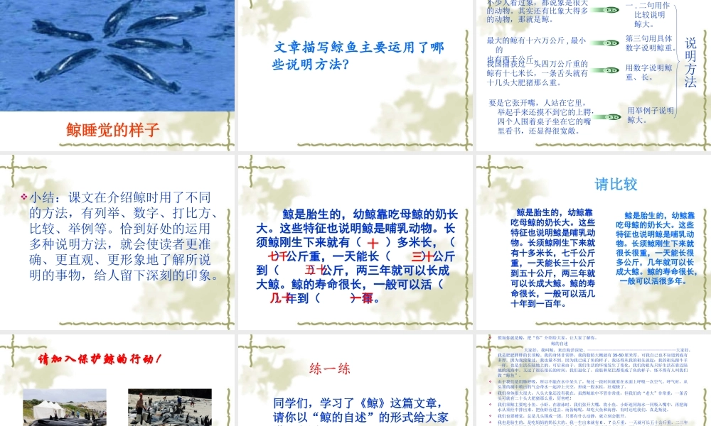 人教版小学语文第九册《鲸》课件