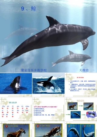 人教版小学语文第九册《鲸》课件