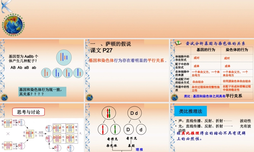 基因在染色体上理
