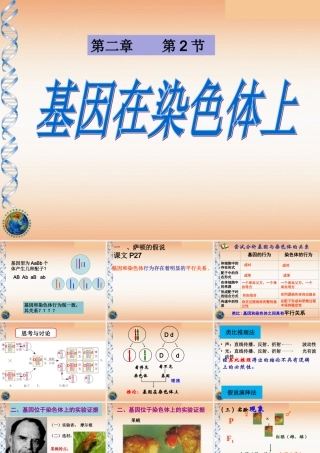 基因在染色体上理