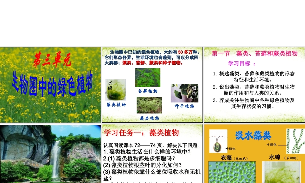 藻类苔藓与蕨类植物