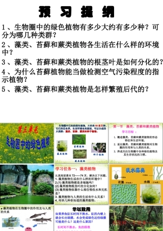 藻类苔藓与蕨类植物