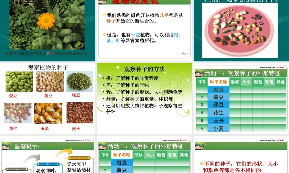 植物新生命的开始精修