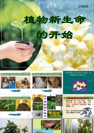 植物新生命的开始精修
