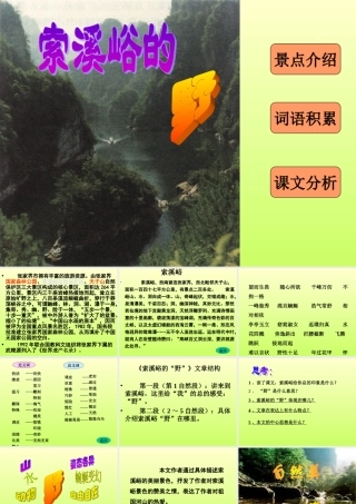 《索溪峪的“野”》