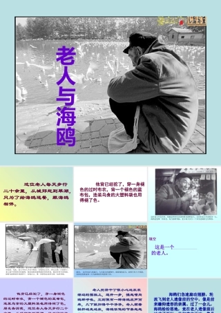 老人与海鸥课件[1]