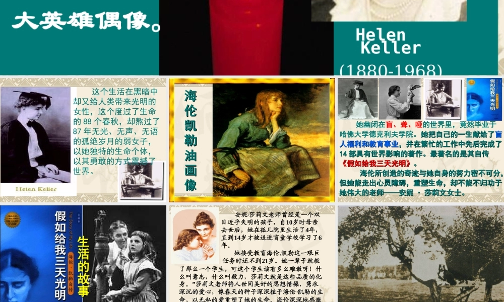 《再塑生命的人》课件
