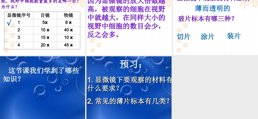 七年级上册生物练习使用显微镜