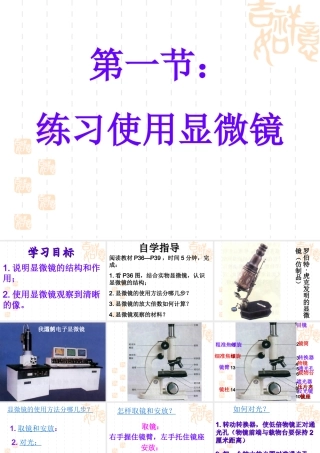 七年级上册生物练习使用显微镜