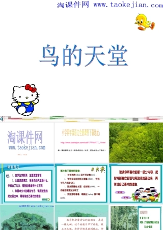 《鸟的天堂》PPT课件(3)-人教新课标小学语文四年级上册