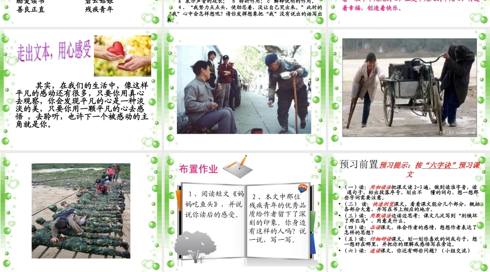 别饿坏那匹马课件