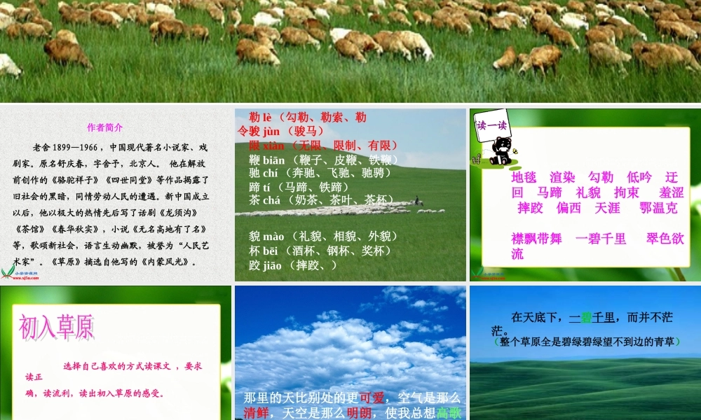 人教版五年级下《草原》